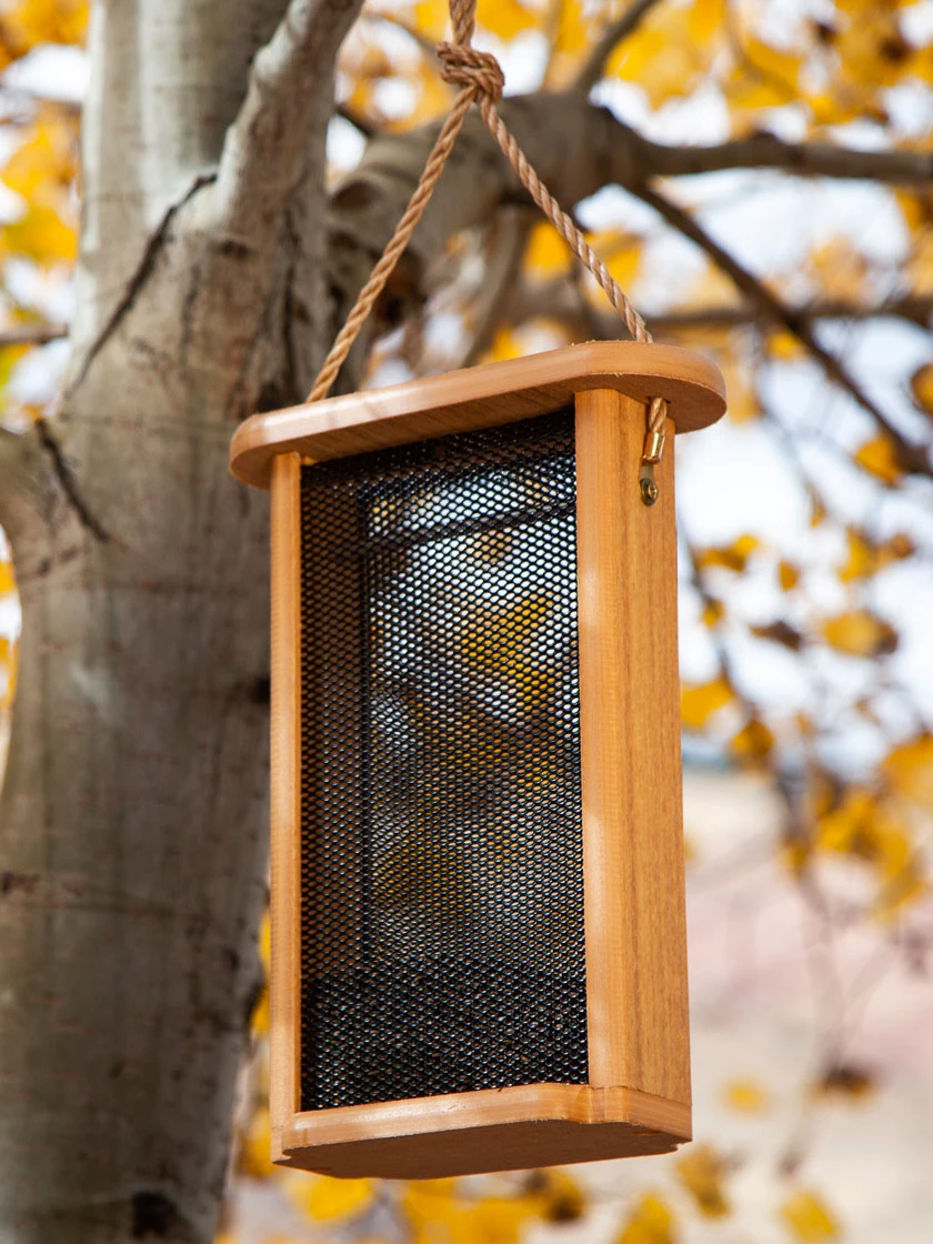 Spruce Creek Tall Finch Feeder 1 Spruce Creek Tall Finch Feeder