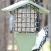 Birds Choice™ Tail Prop Feeder