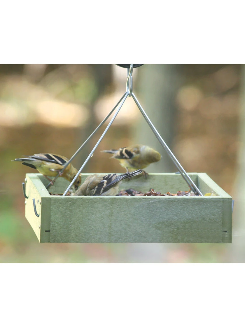 Birds Choice™ Tray Bird Feeder, Small 3 Birds Choice™ Tray Bird Feeder, Small - Image 3