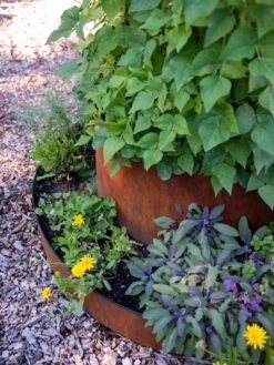 Birdies™ Corten Steel Tiered Round Raised Bed Kit, Tall 6 Birdies™ Corten Steel Tiered Round Raised Bed Kit, Tall -Outdoor Garden Supply Store 8613245 0195