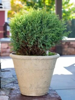 Self-Watering LavaStone® Anson Pot 10 Self-Watering LavaStone® Anson Pot -Outdoor Garden Supply Store 8613255 0144