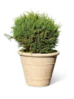 Self-Watering LavaStone® Anson Pot 12 Self-Watering LavaStone® Anson Pot -Outdoor Garden Supply Store 8613255 0150