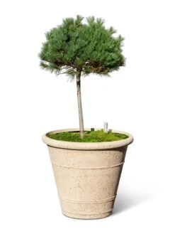 Self-Watering LavaStone® Anson Pot 11 Self-Watering LavaStone® Anson Pot -Outdoor Garden Supply Store 8613256 0138