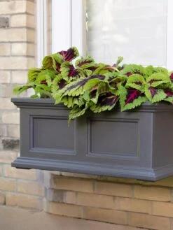 Fairfield Self-Watering Window Box, 2’ -Outdoor Garden Supply Store 8613268 08V tif