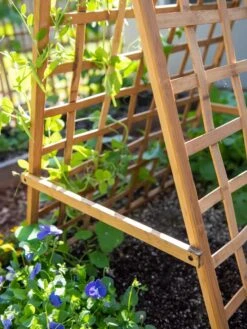 Bambo A Frame Plant Support, 30" X 42.5" 11 Bambo A Frame Plant Support, 30" X 42.5" -Outdoor Garden Supply Store 8613310 6556