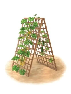 Bambo A Frame Plant Support, 30" X 42.5" 14 Bambo A Frame Plant Support, 30" X 42.5" -Outdoor Garden Supply Store 8613310 art flat