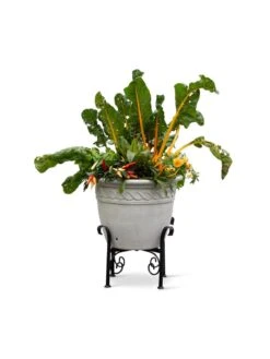 Covington Adjustable Plant Stands 18 Covington Adjustable Plant Stands -Outdoor Garden Supply Store 8613347 0119