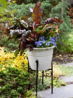 Covington Adjustable Plant Stands 15 Covington Adjustable Plant Stands -Outdoor Garden Supply Store 8613348 0114
