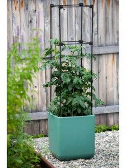 Oasis Self-Watering Tomato Planter With Trellis -Outdoor Garden Supply Store 8613440 0373 3 4