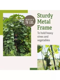 Titan Squash Tunnel -Outdoor Garden Supply Store B07932DMCR plantsupport benefits 2