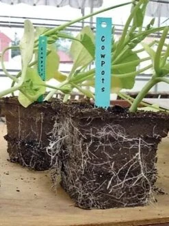 2-3/4" Square Cowpots 6-Packs, Set Of 4 5 2-3/4" Square Cowpots 6-Packs, Set Of 4 -Outdoor Garden Supply Store GS37034 05