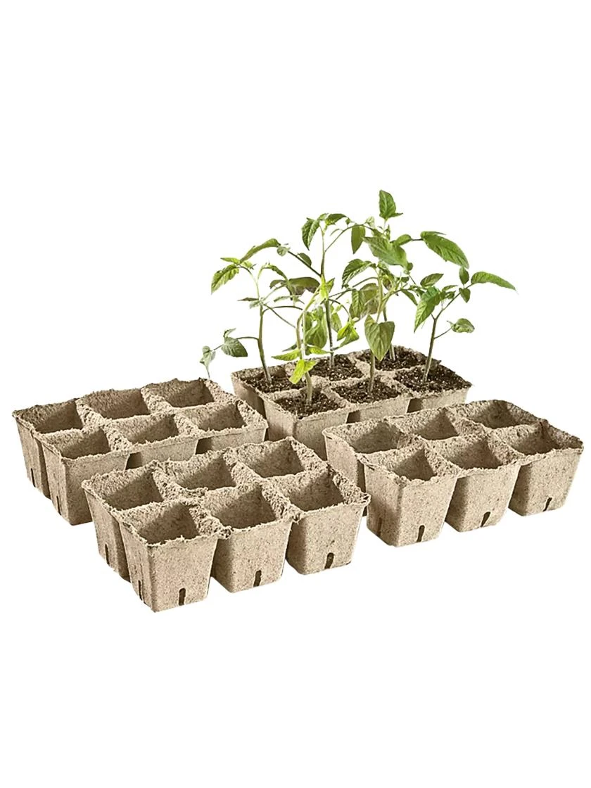 2-3/4" Square Cowpots 6-Packs, Set Of 4 2 2-3/4" Square Cowpots 6-Packs, Set Of 4 - Image 2