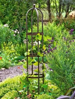 Jardin Bird Cage Support, 26" -Outdoor Garden Supply Store GS39529 01 tif