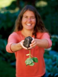 Deep Root Seedstarting System, Black -Outdoor Garden Supply Store GSCOVSPR06D2 01