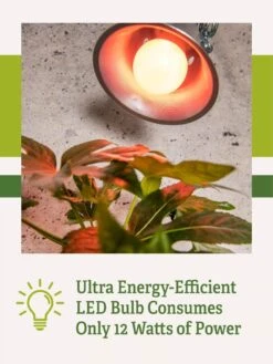 Miracle LED® Absolute Daylight™ Max Flowering Grow Light Bulb 9 Miracle LED® Absolute Daylight™ Max Flowering Grow Light Bulb -Outdoor Garden Supply Store Miracle Daylight Bulb 2