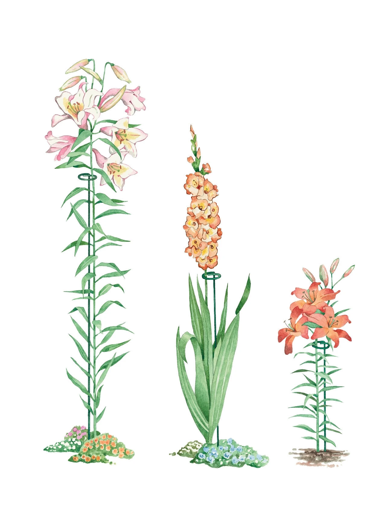 Single Stem Supports, Set Of 3 1 Single Stem Supports, Set Of 3