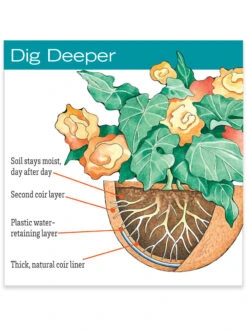 AquaSav™ Replacement Liners, Set Of 3 -Outdoor Garden Supply Store hiw 38 583