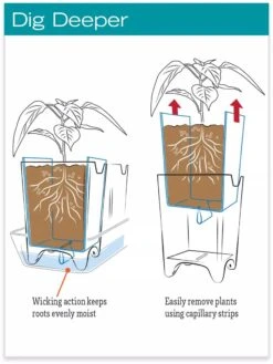 Stoneware Self-Watering Windowsill Planters, Set Of 2 9 Stoneware Self-Watering Windowsill Planters, Set Of 2 -Outdoor Garden Supply Store hiw 8593943 jpg