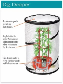 Tomato TLC Kits, Set Of 3 9 Tomato TLC Kits, Set Of 3 -Outdoor Garden Supply Store hiw 8594214 jpg