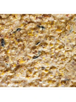 Peanut Apple Suet, 11.75 OZ, 12 Pack -Outdoor Garden Supply Store webimage 8613690 04V