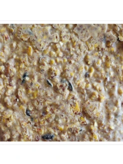 Woodpecker Almond Suet, 11.75 OZ, 12 Pack -Outdoor Garden Supply Store webimage 8613691 04V